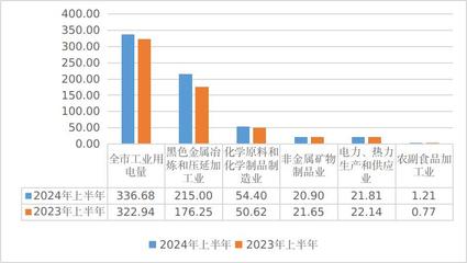 2024年上半年全市发电量与工业用电量分析 管材行业能耗透视