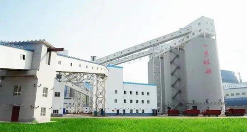 黄陵矿业一号煤矿选煤厂 开启矿产与化工制品的智能化新篇章